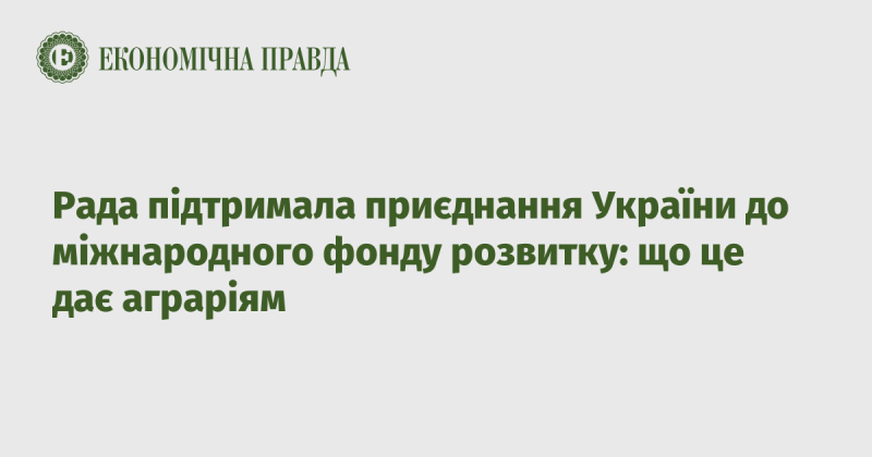 Парламент схвалив вступ України до міжнародного фонду розвитку: які можливості відкриваються для аграріїв.