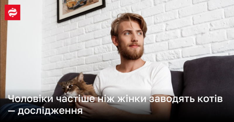 Дослідження показало, що котів частіше обирають чоловіки, ніж жінки.