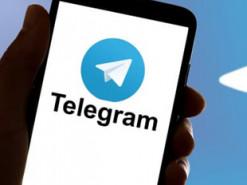 Заборона Telegram для депутатів: народний обранець роз'яснив, чи буде обмежено доступ для чиновників.