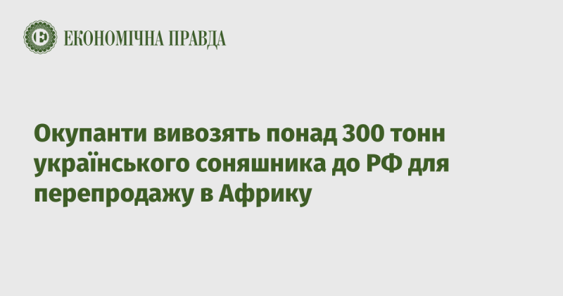 Загарбники вивозять більше 300 тонн українського соняшнику до Росії з метою подальшого перепродажу в Африку.