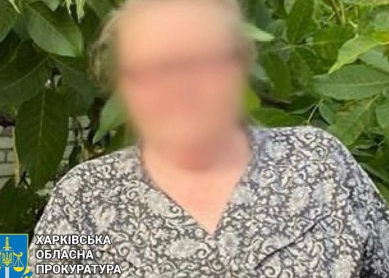 В Харківській області було засуджено колаборантку, яка впроваджувала освітні стандарти Російської Федерації.