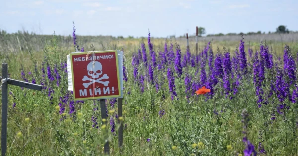 У Херсонській області сталася трагедія: подружжя натрапило на міну, внаслідок чого чоловік загинув, а жінка отримала поранення і була госпіталізована.