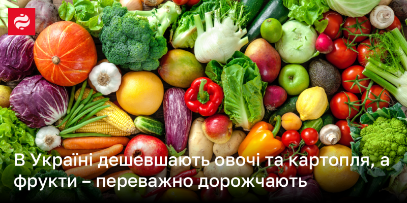 В Україні спостерігається зниження цін на овочі та картоплю, тоді як фрукти, в основному, стають дорожчими.